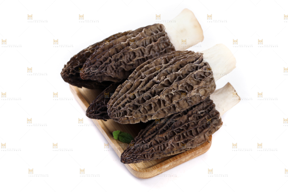 盘子装着羊肚菇