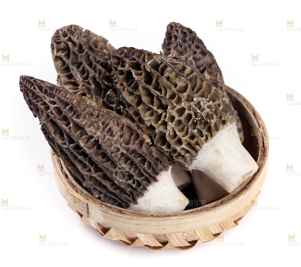 篮子里放着羊肚菇