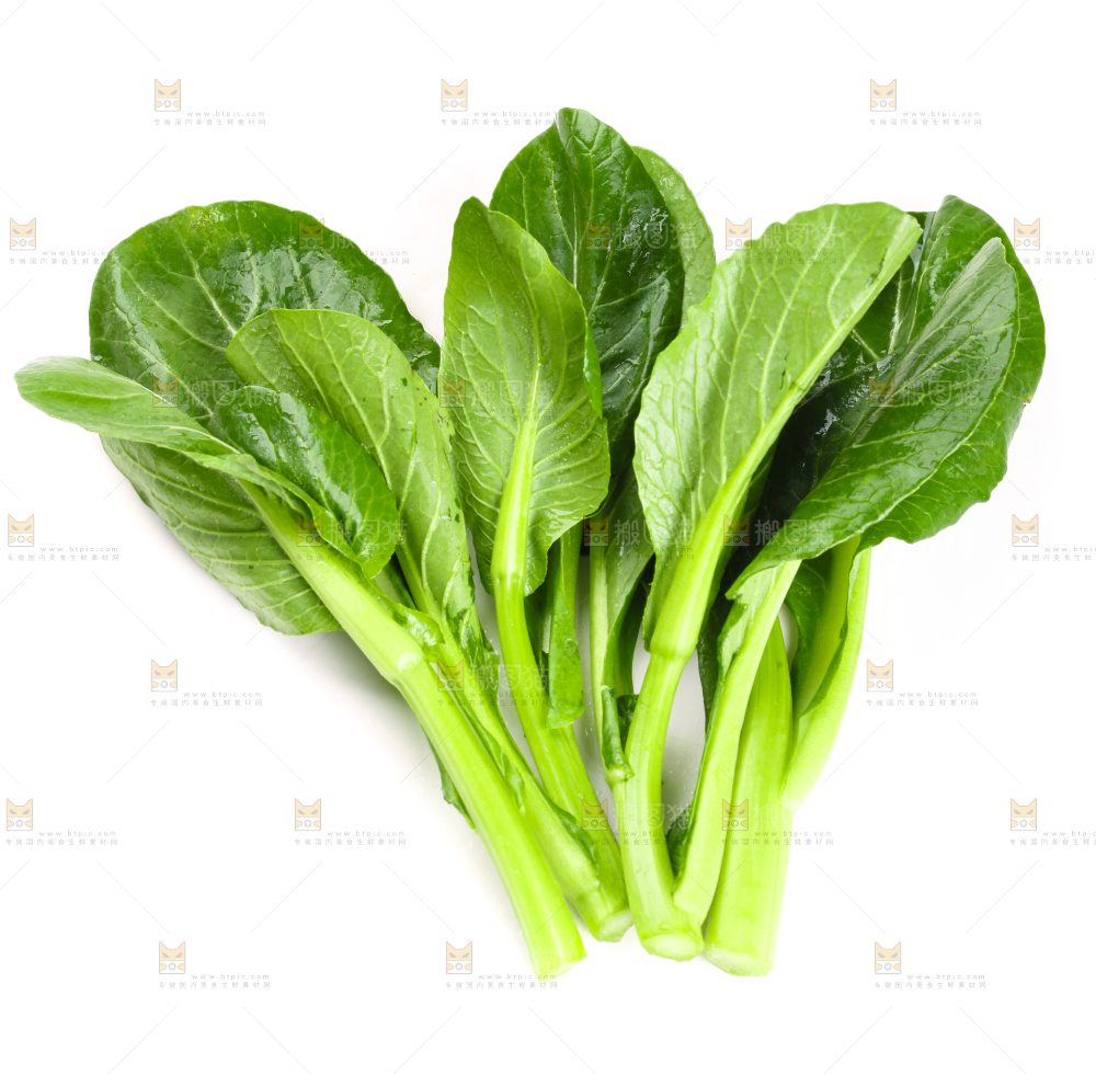 白底上放着菜苔