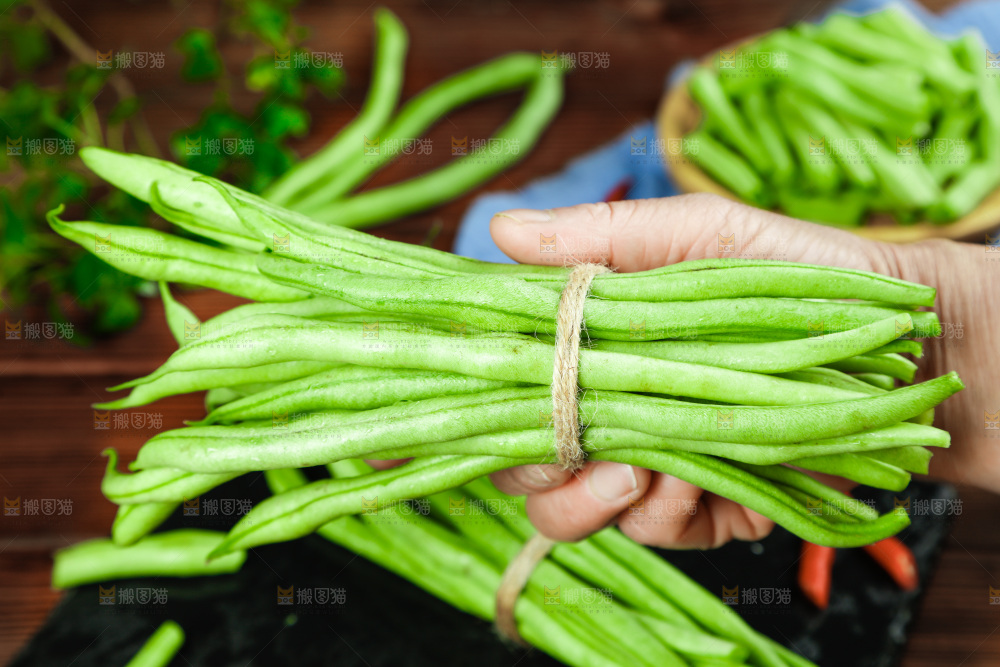 四季豆