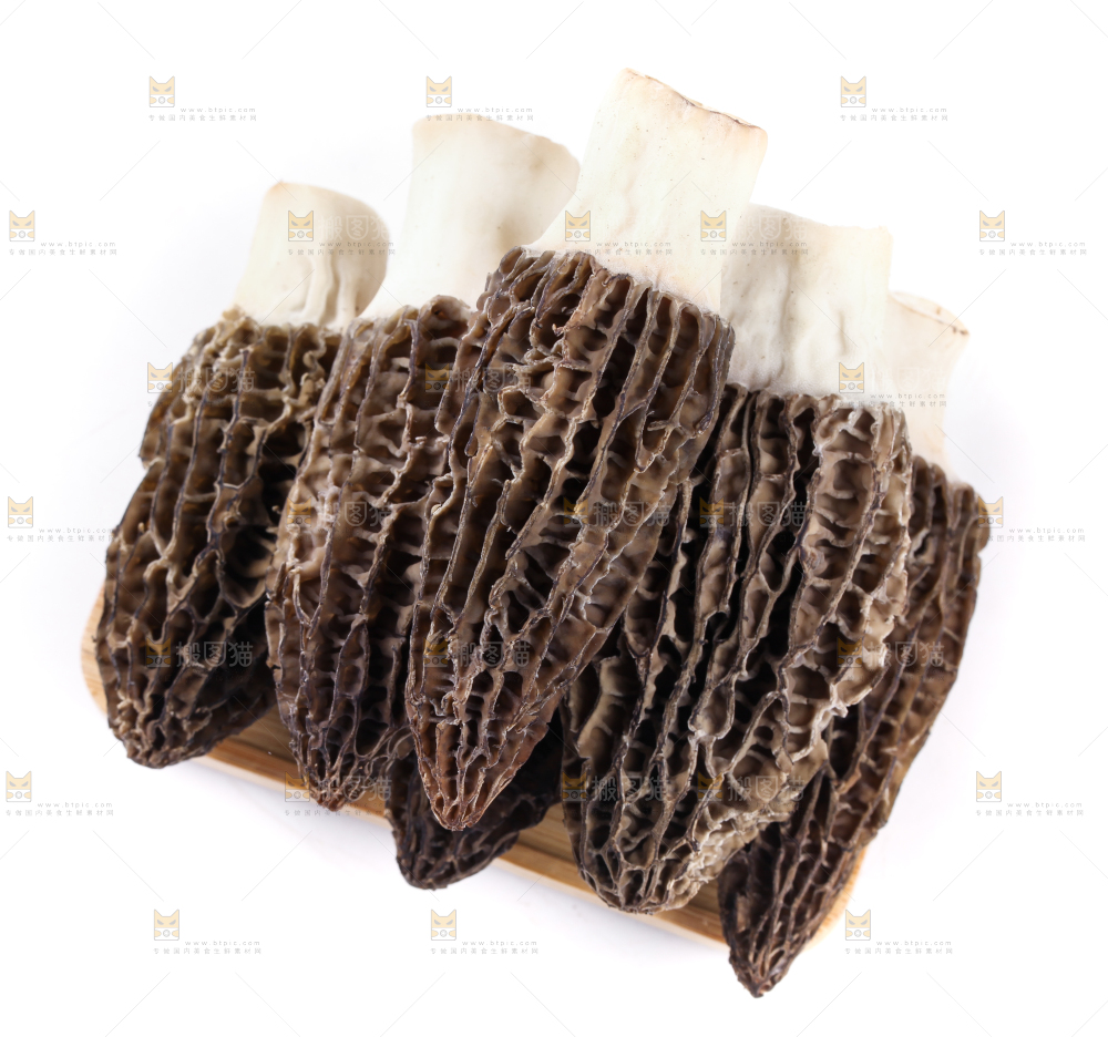 盘子装着羊肚菇