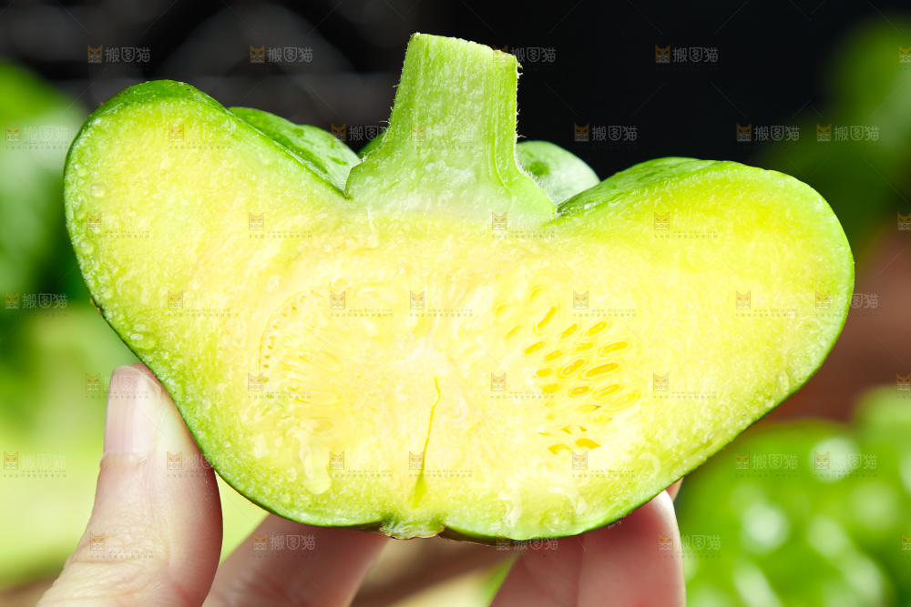 手里拿着小南瓜