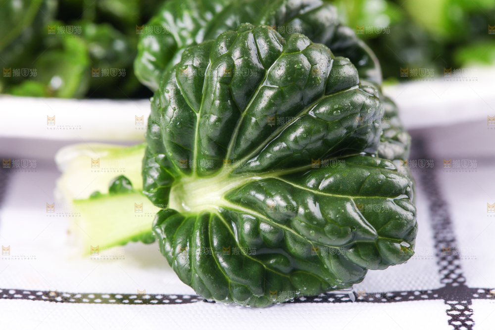 浅底上放着菊花菜