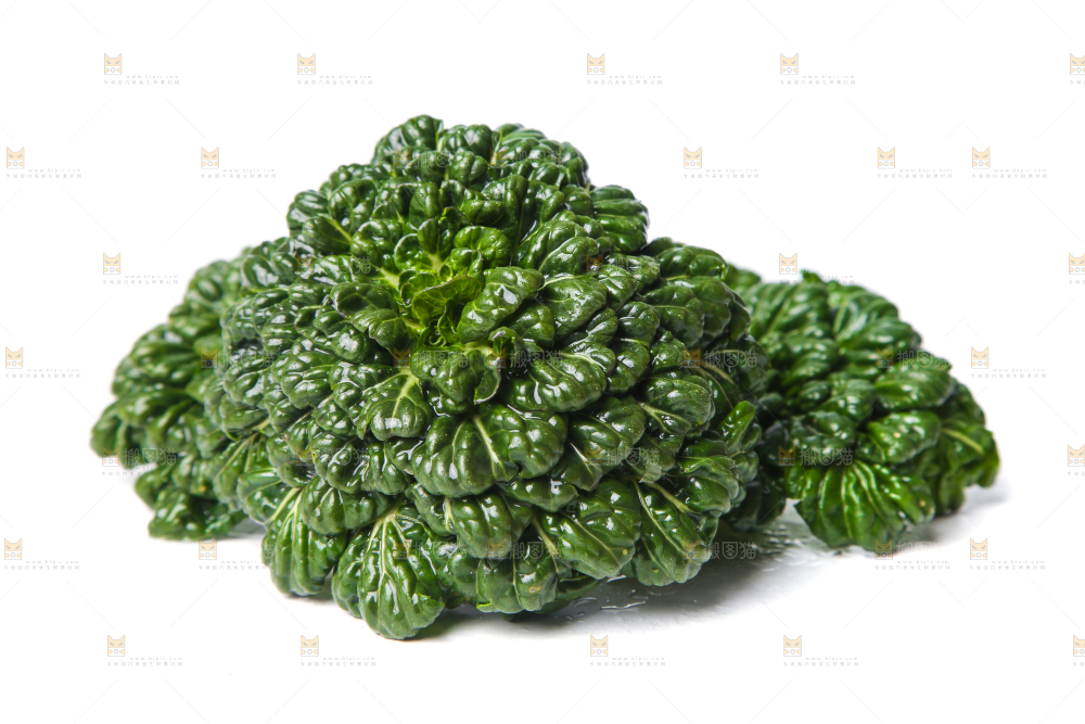白底上的菊花菜