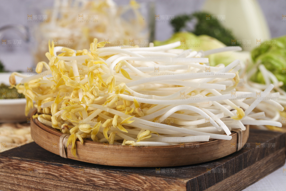 盘子里装着绿豆芽