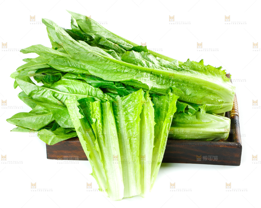 白底上放着油麦菜
