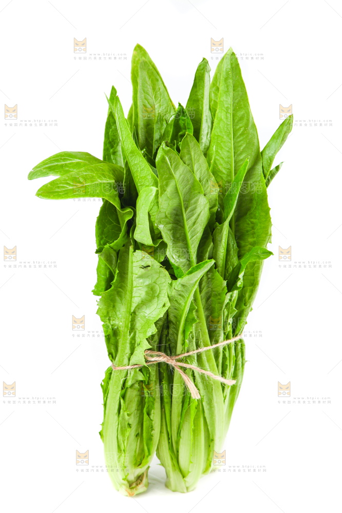 白底上的香麦菜