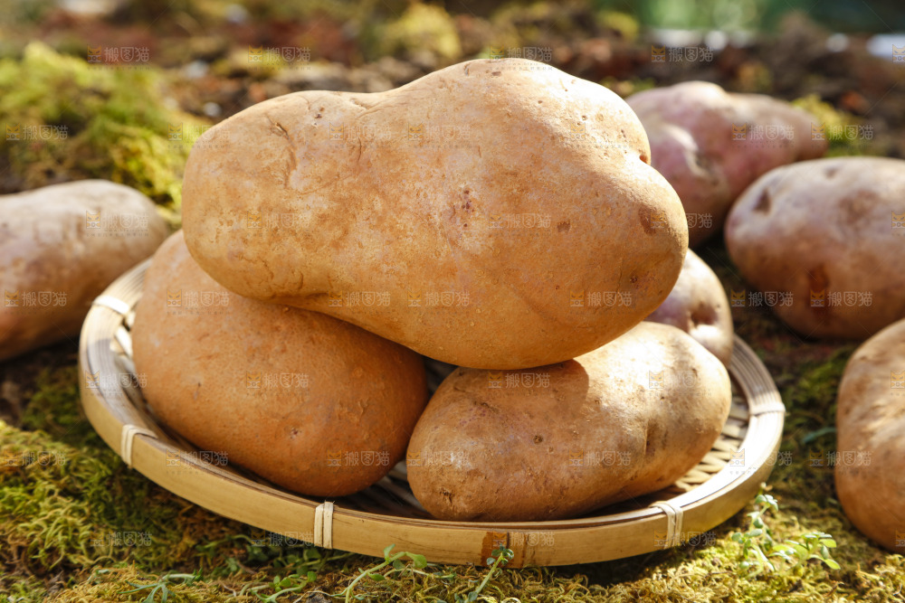 篮子里装着云南红心土豆