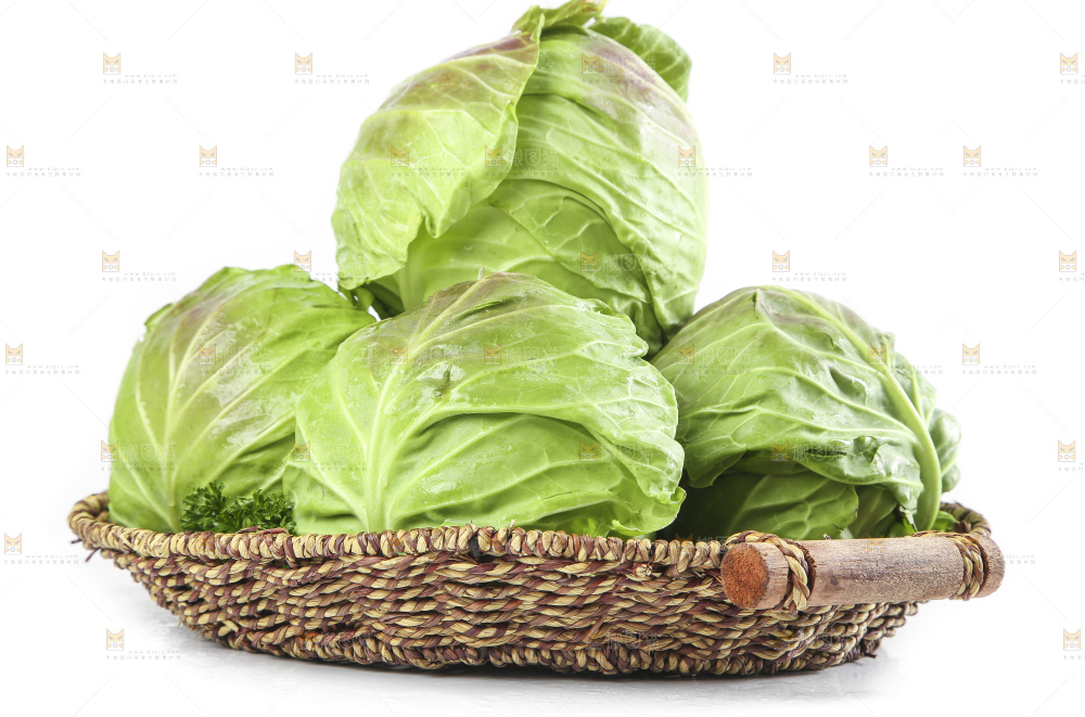 篮子里装着洋白菜