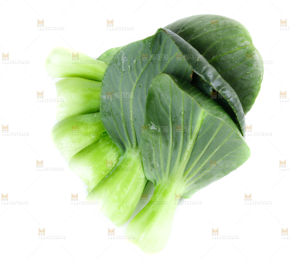 白底上的绿叶菜