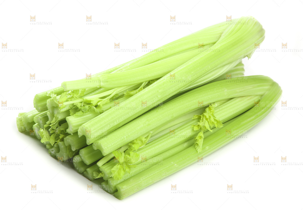 白底上的山东西芹