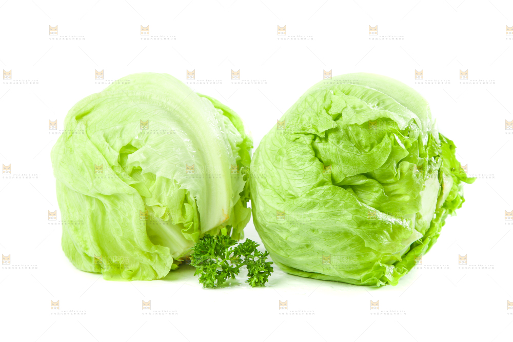 白底上的新鲜生菜