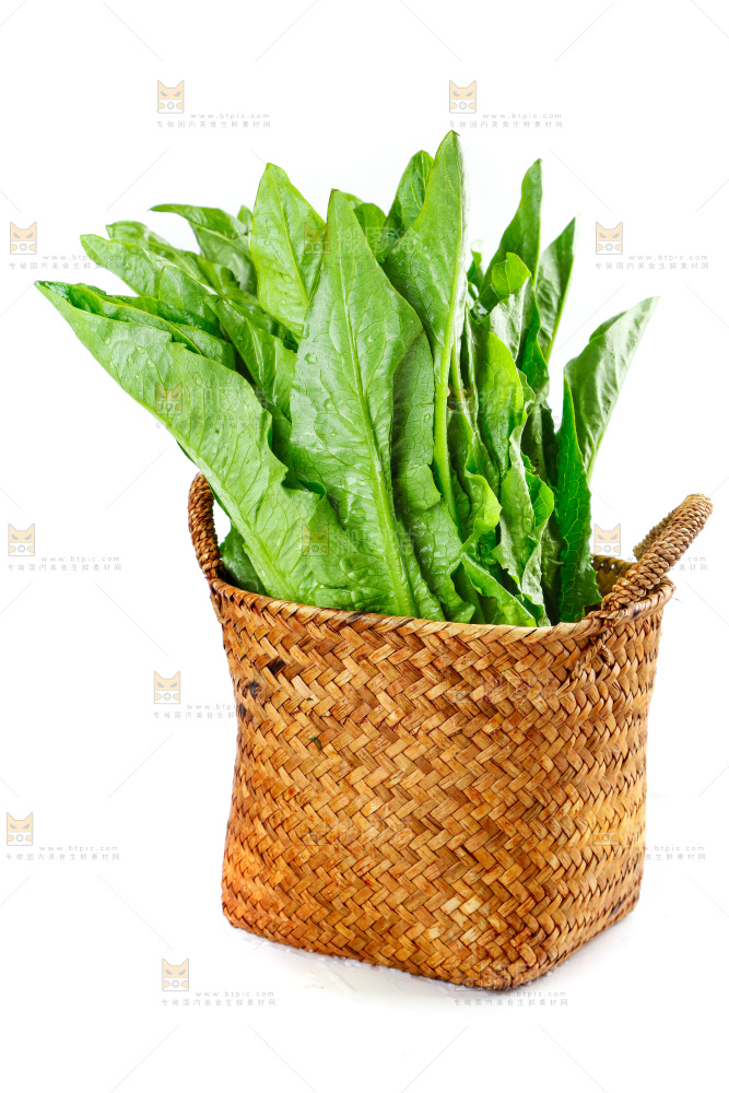 白底上放着油麦菜