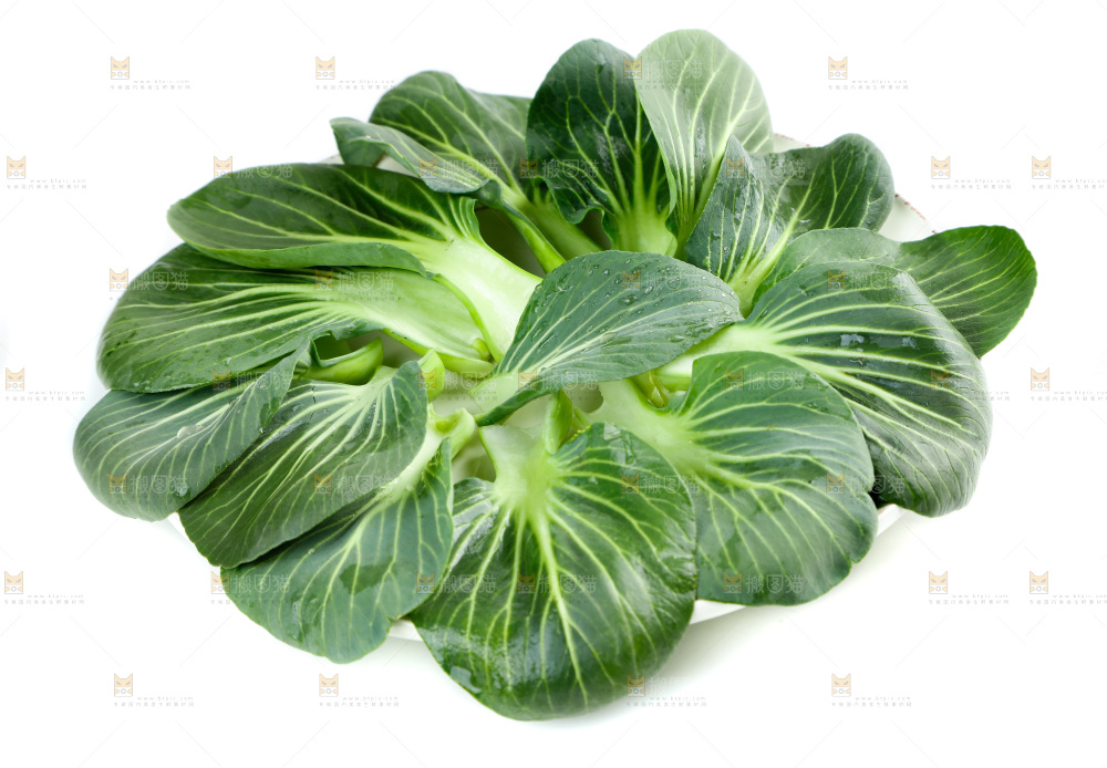 白底上的绿叶菜