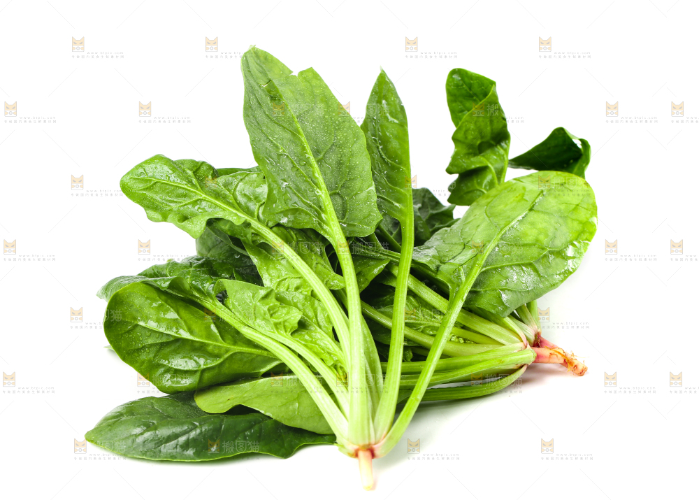 白底上放着菠菜