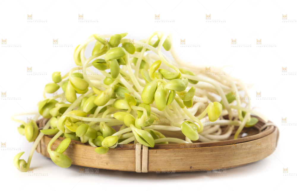 白底上的豆芽
