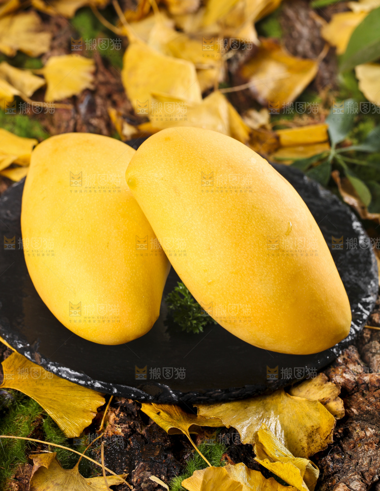 石板上摆放着新鲜芒果