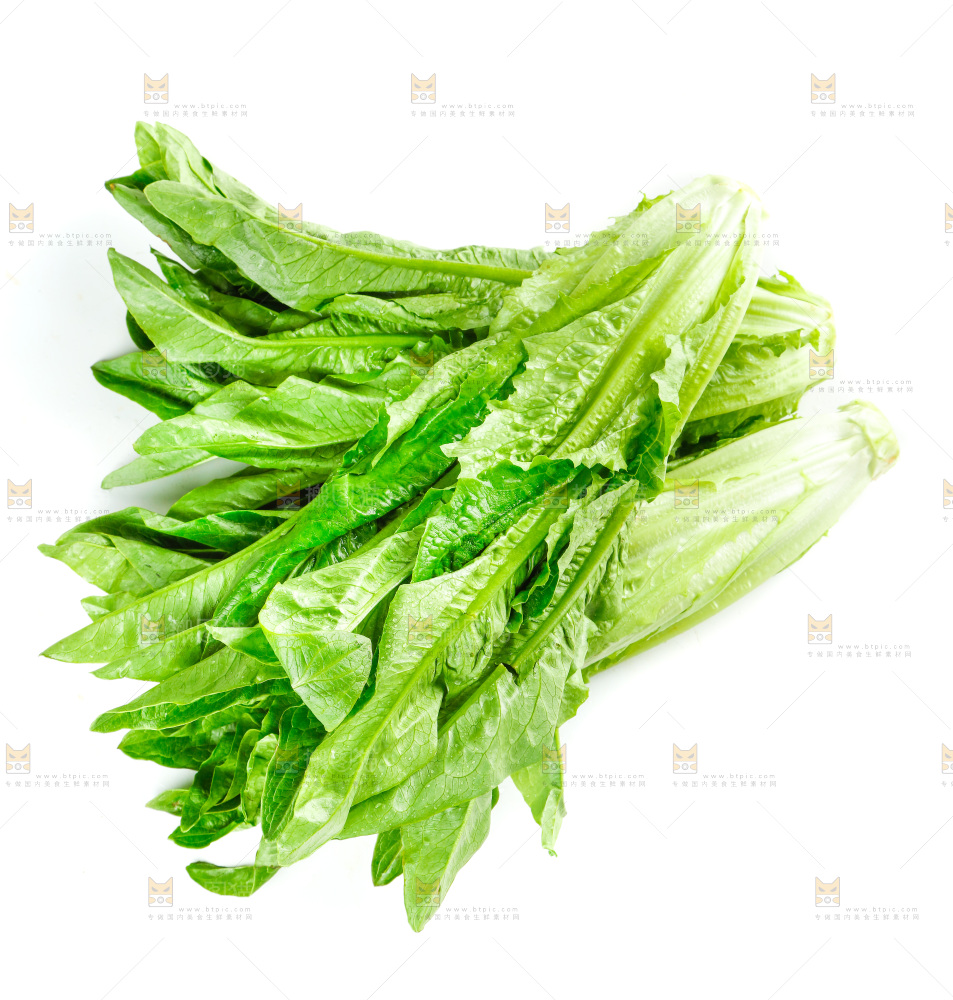 白底上放着油麦菜
