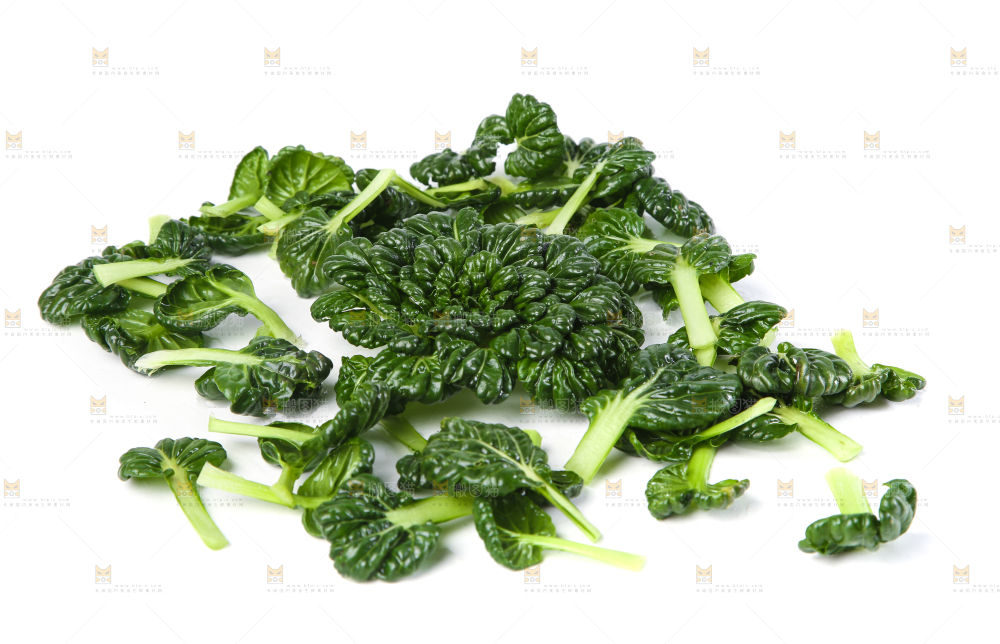 白底上的菊花菜