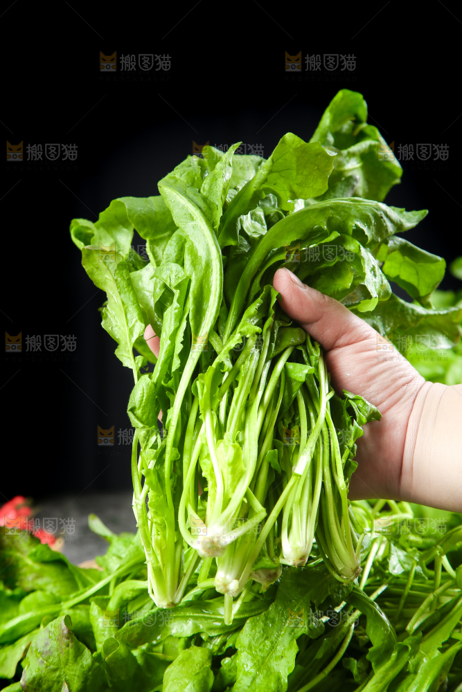 手里拿着新鲜芥菜