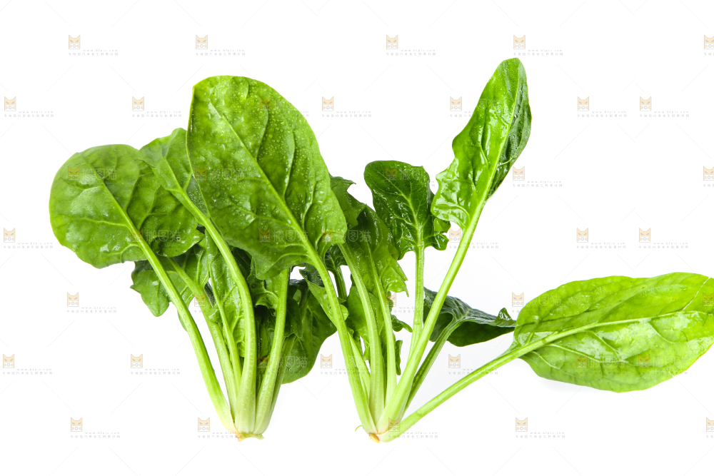 白底上放着菠菜