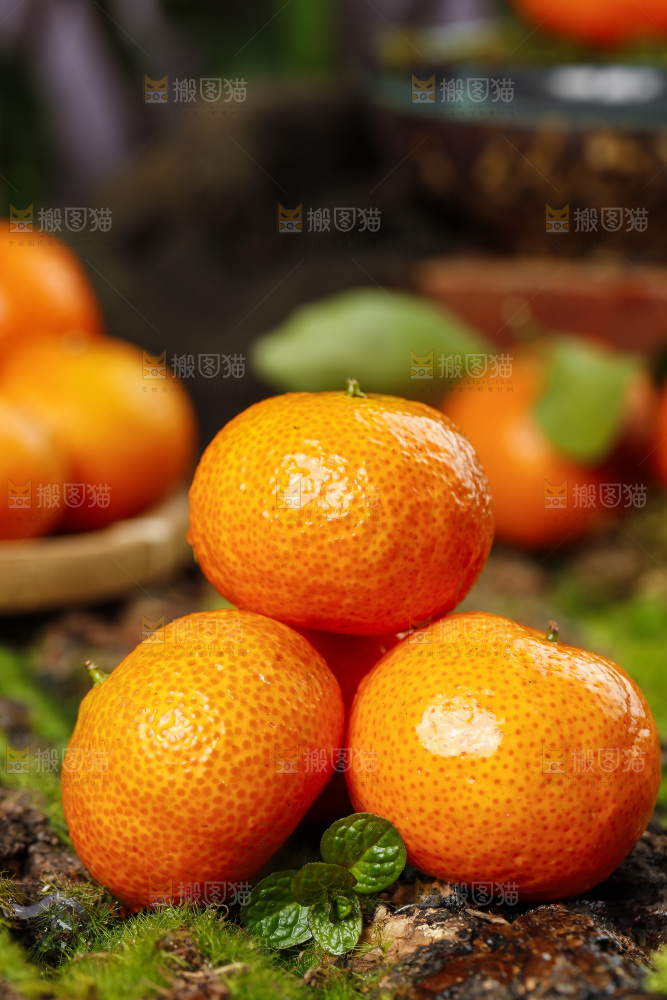 深底上的广西砂糖橘