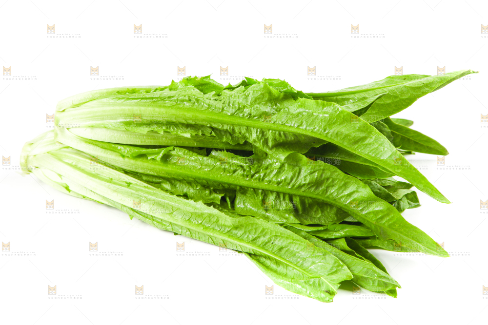 白底上的香麦菜