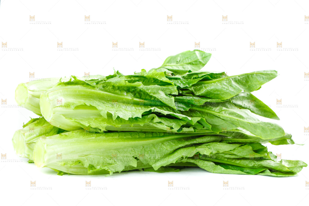 白底上放着油麦菜