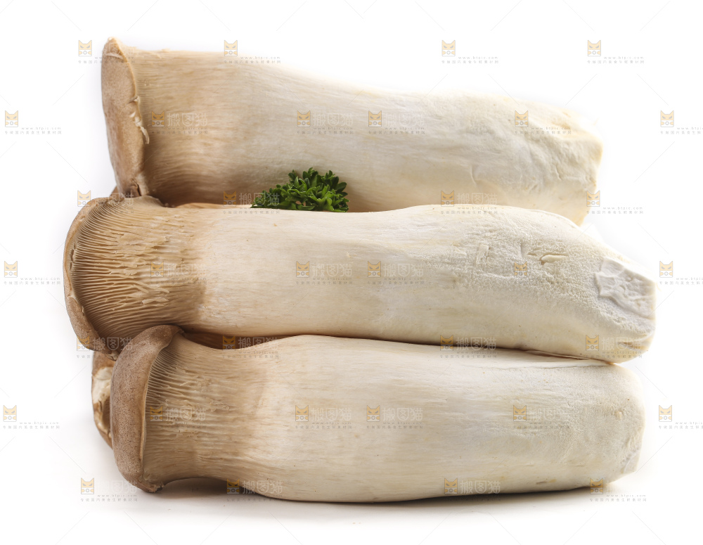 白底上放着大鸡腿菇