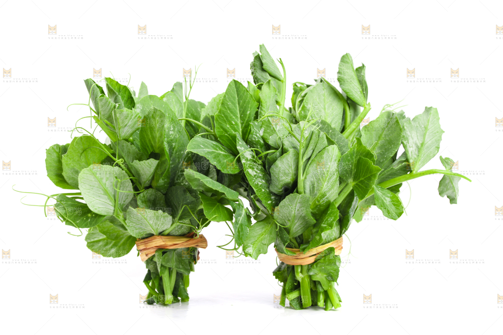 白底上摆放着新鲜豌豆苗