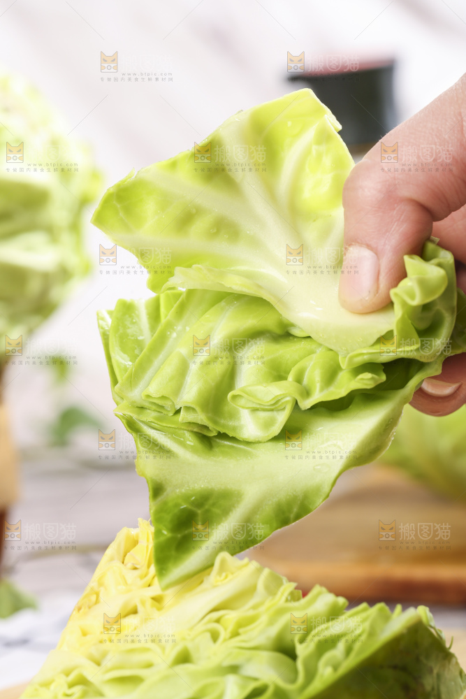 手里拿着洋白菜