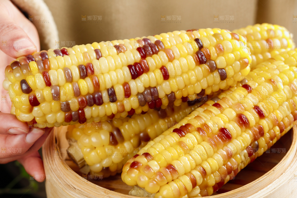 手拿熟糯玉米