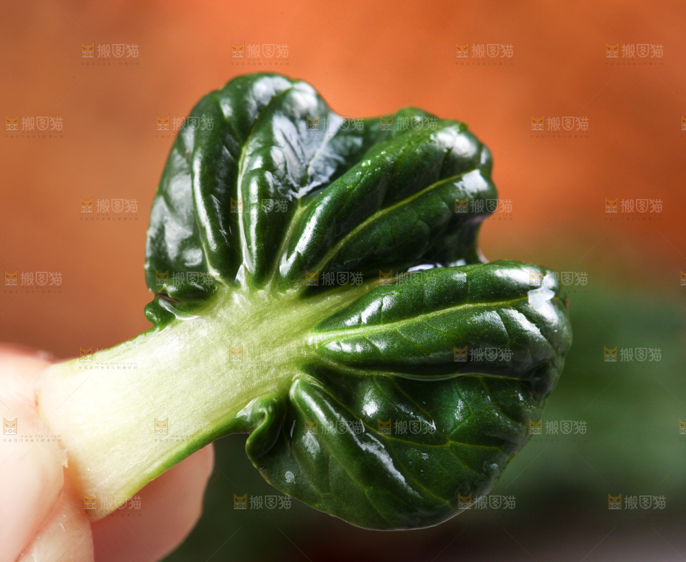 手里拿着青菜