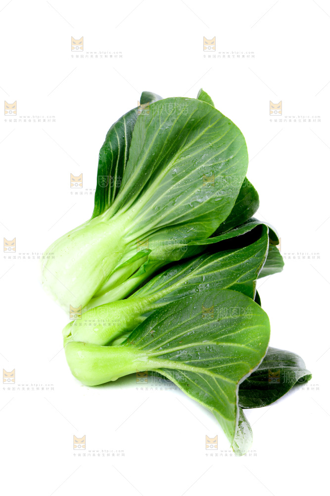 白底上放着青菜