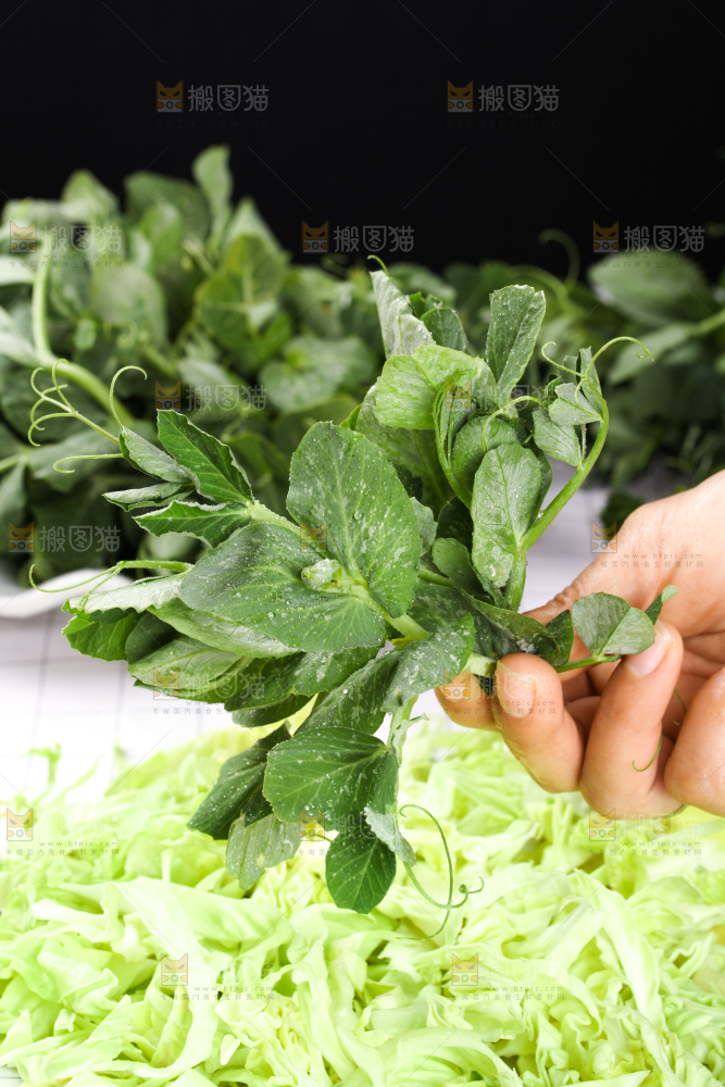木板上放着农家豌豆尖