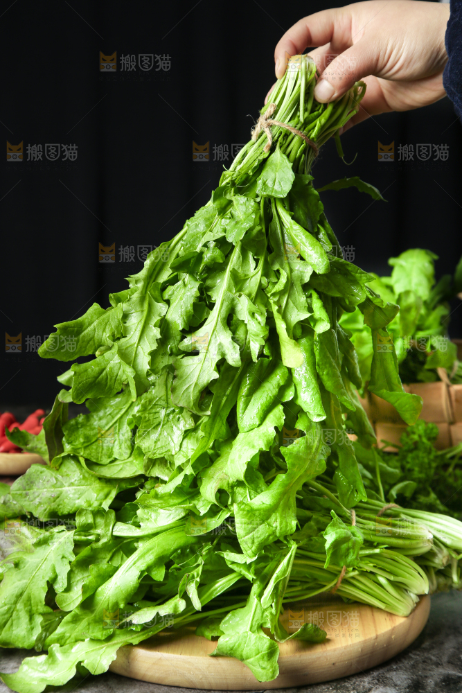 手里拿着新鲜芥菜