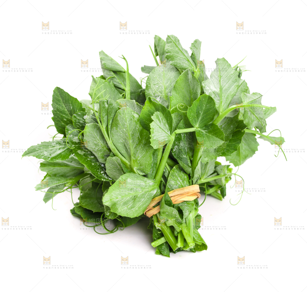 白底上摆放着新鲜豌豆苗