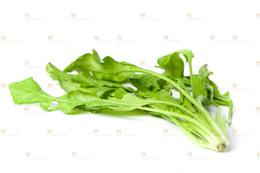 白底上的地菜
