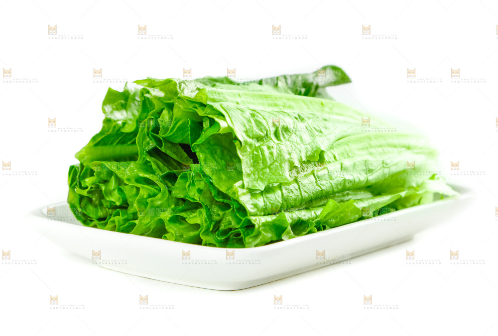 白底上放着油麦菜