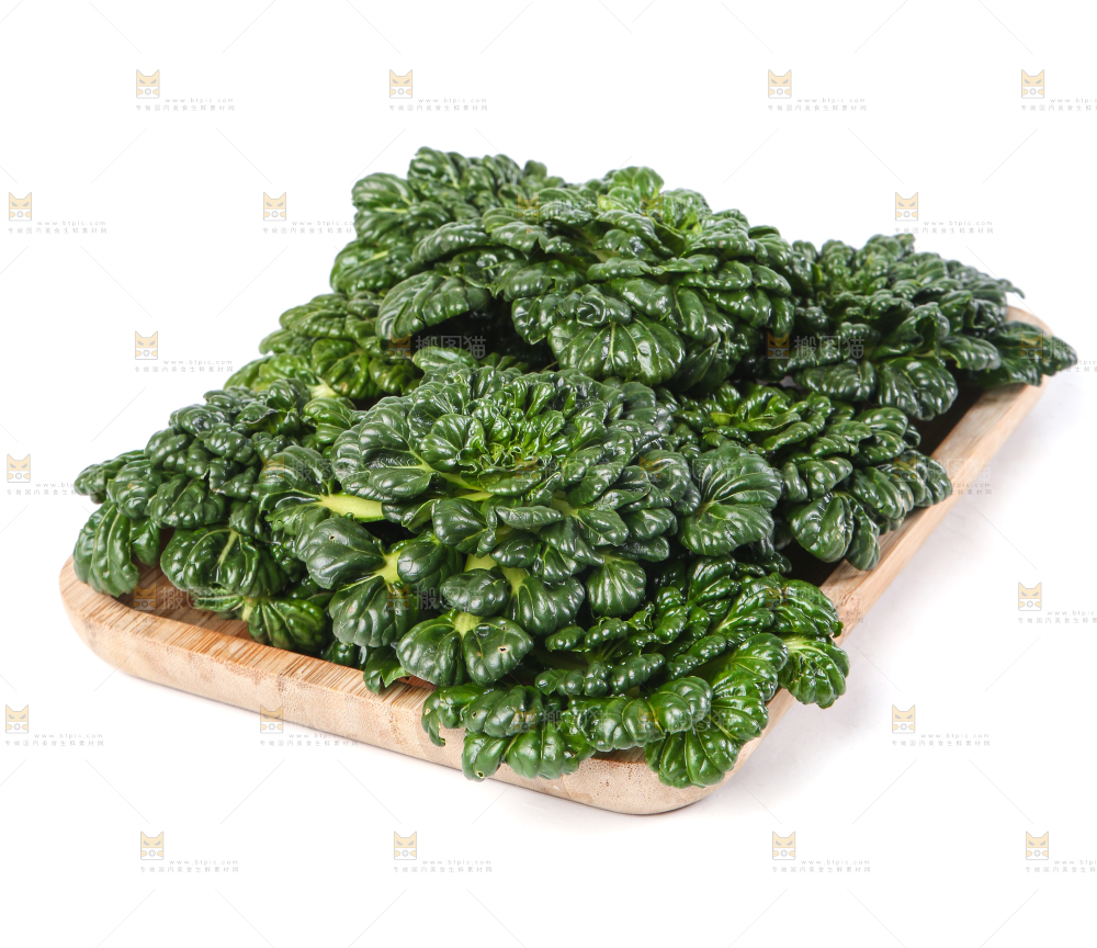白底上的菊花菜