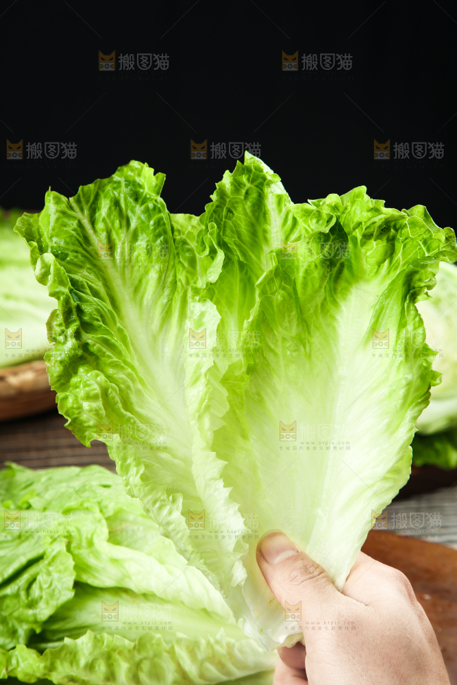 手里拿着生菜