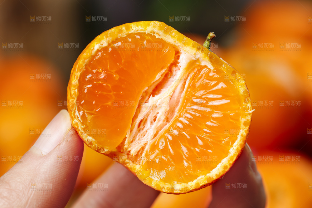 手拿切开的砂糖橘