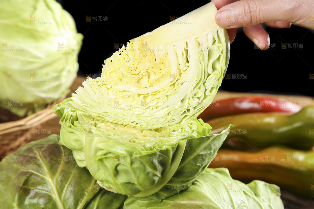 手里拿着洋白菜