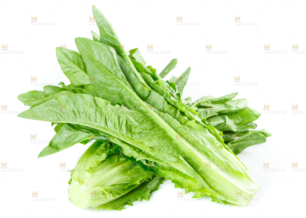 白底上放着油麦菜