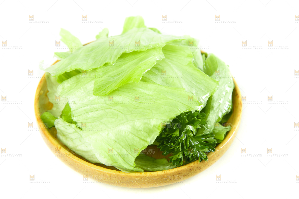 白底上的新鲜生菜