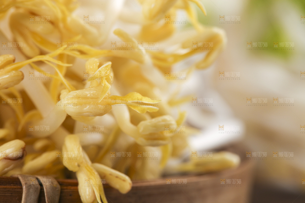 木板上的嫩豆芽