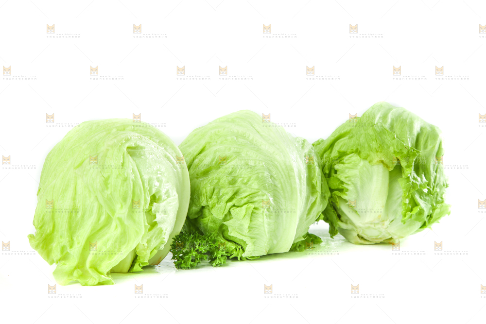 白底上的新鲜生菜