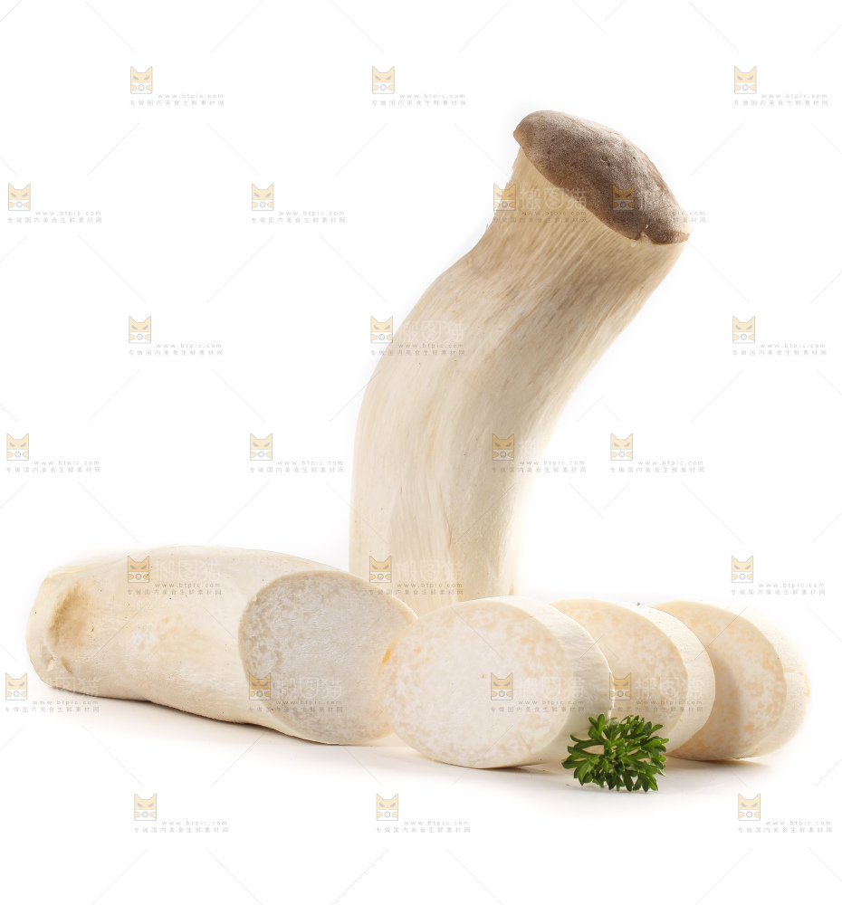 白底上放着大鸡腿菇