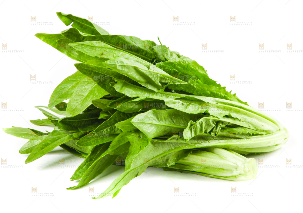 白底上的香麦菜