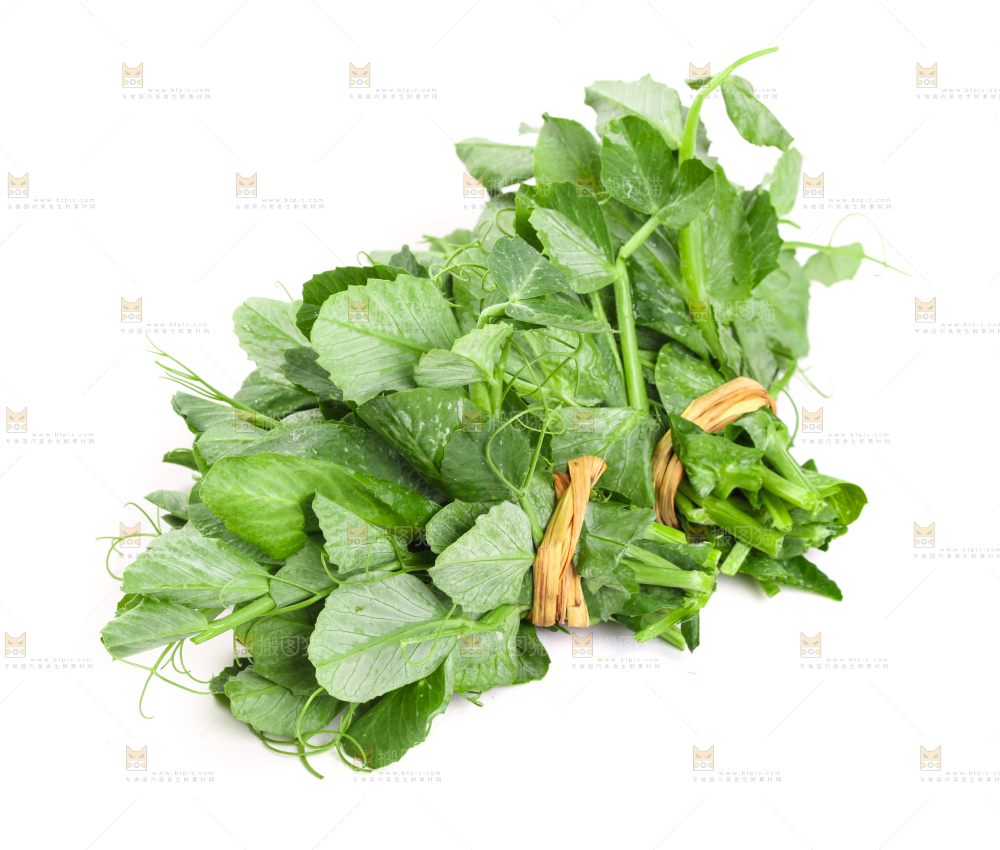 白底上摆放着新鲜豌豆苗